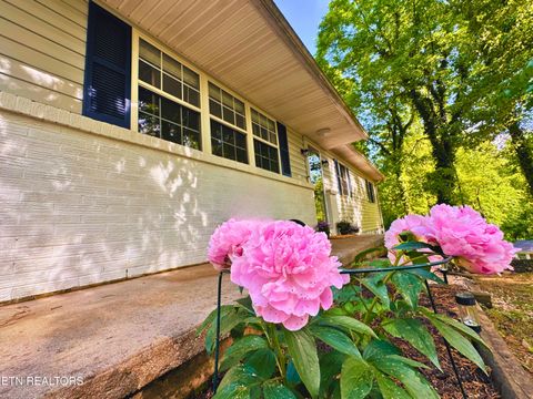 Photo of 1465 Johnathan Drive, Louisville, TN 37777 (MLS # 1338709)