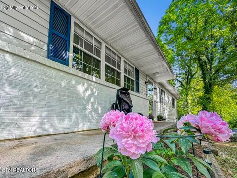 Photo of 1465 Johnathan Drive, Louisville, TN 37777 (MLS # 1338709)