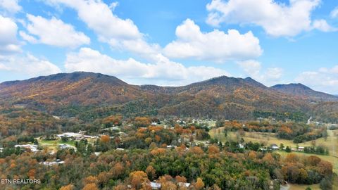 Tiny photo for 182 Tazewell Pike, Luttrell, TN 37779 (MLS # 1321537)