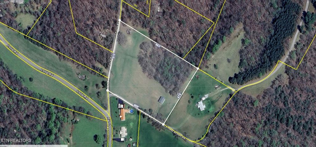 Photo of 160 Tinch Rd, Sunbright, TN 37872 (MLS # 1321592)