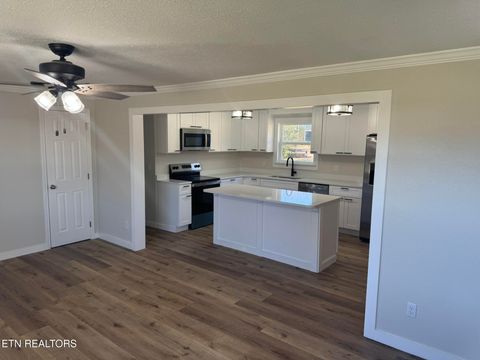 Tiny photo for 263 County Road 500, Englewood, TN 37329 (MLS # 1324678)