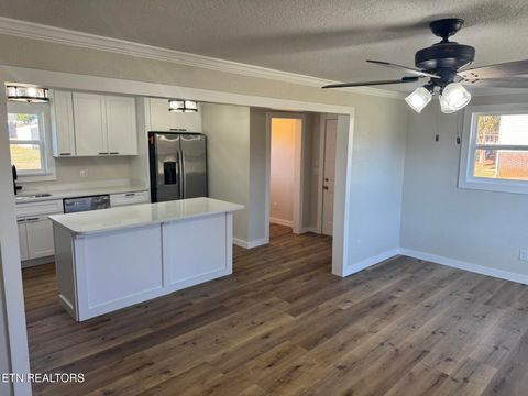 Tiny photo for 263 County Road 500, Englewood, TN 37329 (MLS # 1324678)