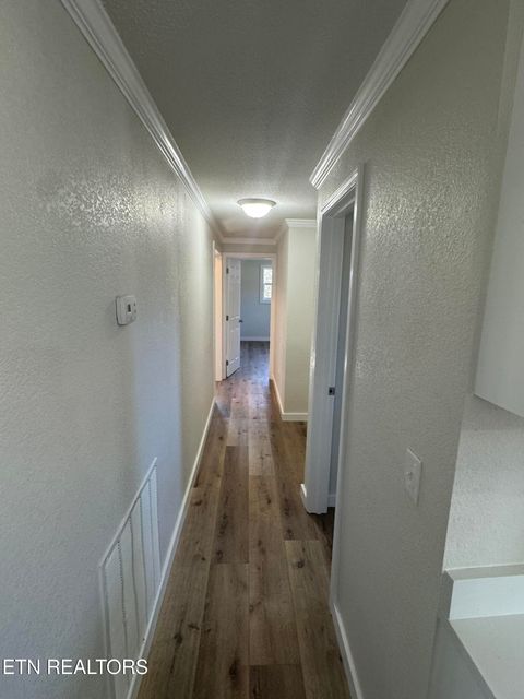 Tiny photo for 263 County Road 500, Englewood, TN 37329 (MLS # 1324678)