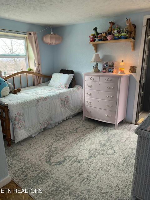 Tiny photo for 891 Tolley Hollow Rd, Newport, TN 37821 (MLS # 1335110)