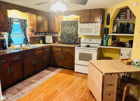 Tiny photo for 891 Tolley Hollow Rd, Newport, TN 37821 (MLS # 1335110)