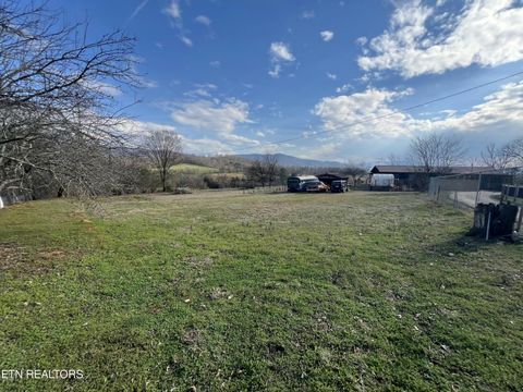 Tiny photo for 891 Tolley Hollow Rd, Newport, TN 37821 (MLS # 1335110)