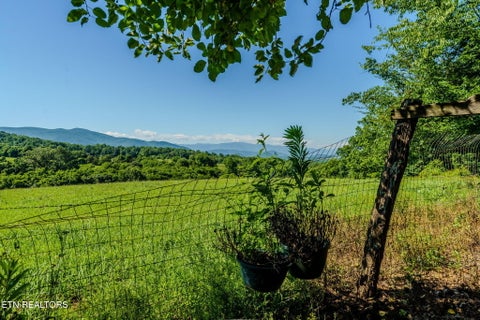 Tiny photo for 891 Tolley Hollow Rd, Newport, TN 37821 (MLS # 1335110)