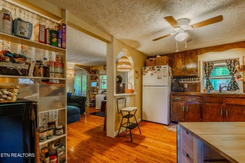 Tiny photo for 891 Tolley Hollow Rd, Newport, TN 37821 (MLS # 1335110)