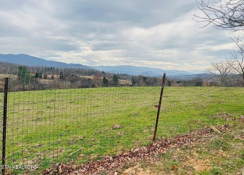 Tiny photo for 891 Tolley Hollow Rd, Newport, TN 37821 (MLS # 1335110)