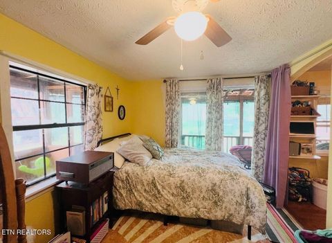 Tiny photo for 891 Tolley Hollow Rd, Newport, TN 37821 (MLS # 1335110)