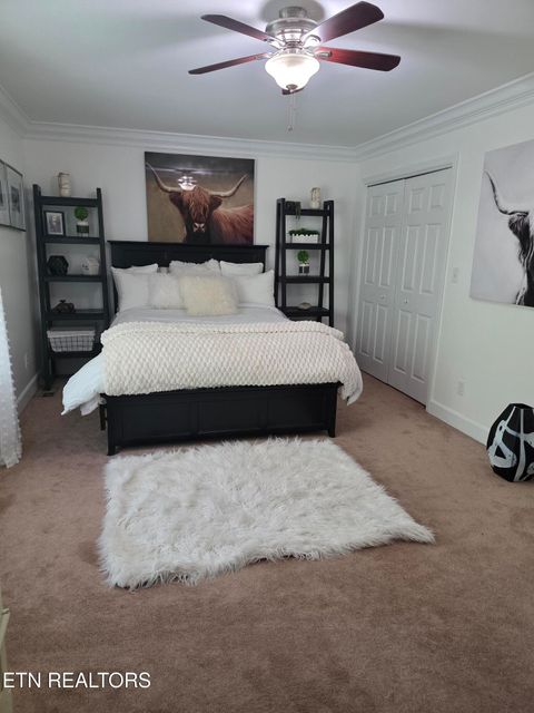 Tiny photo for 15 Radisson Cove, Oak Ridge, TN 37830 (MLS # 1341084)