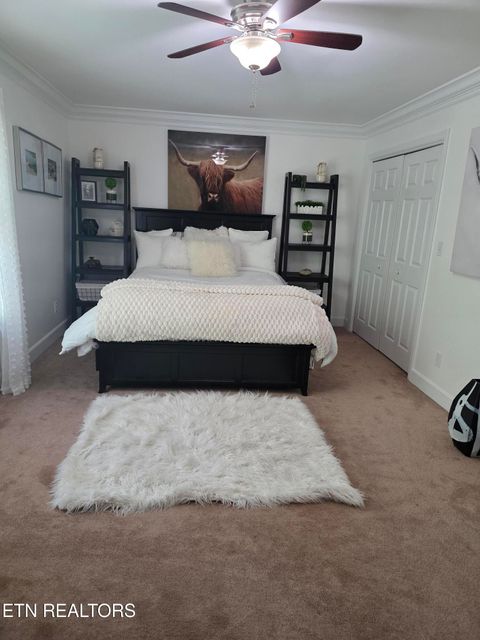 Tiny photo for 15 Radisson Cove, Oak Ridge, TN 37830 (MLS # 1341084)
