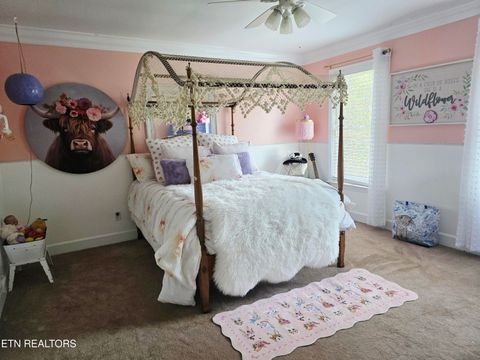 Tiny photo for 15 Radisson Cove, Oak Ridge, TN 37830 (MLS # 1341084)