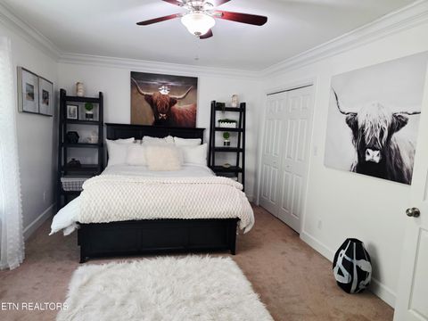 Tiny photo for 15 Radisson Cove, Oak Ridge, TN 37830 (MLS # 1341084)