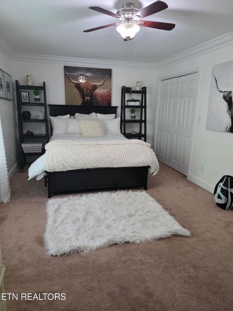 Tiny photo for 15 Radisson Cove, Oak Ridge, TN 37830 (MLS # 1341084)