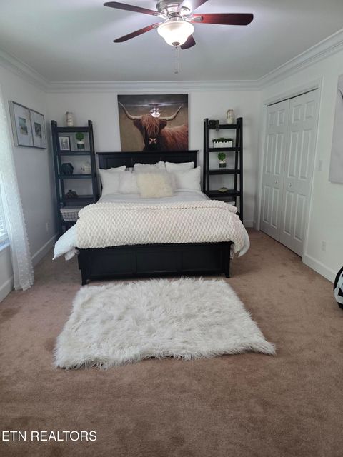 Tiny photo for 15 Radisson Cove, Oak Ridge, TN 37830 (MLS # 1341084)