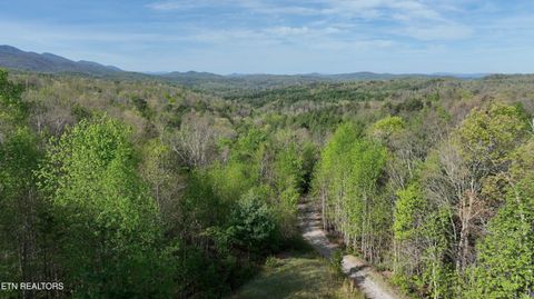 Tiny photo for 418 Turkey Creek Rd, Tellico Plains, TN 37385 (MLS # 1340690)