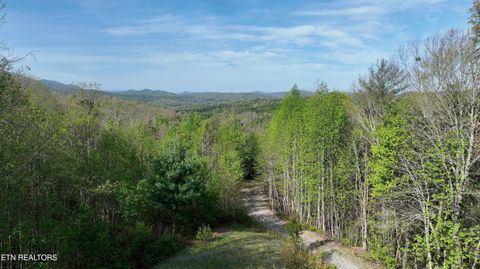 Tiny photo for 418 Turkey Creek Rd, Tellico Plains, TN 37385 (MLS # 1340690)