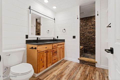 Tiny photo for 231 Sunset Boulevard Blvd, White Pine, TN 37890 (MLS # 1323322)