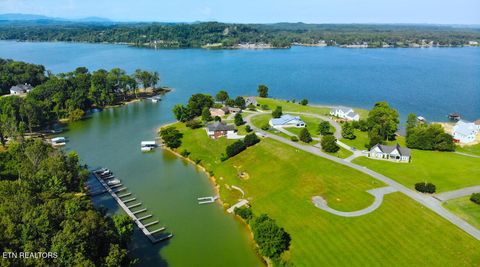 Tiny photo for 231 Sunset Boulevard Blvd, White Pine, TN 37890 (MLS # 1323322)