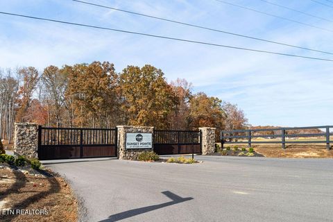 Tiny photo for 231 Sunset Boulevard Blvd, White Pine, TN 37890 (MLS # 1323322)