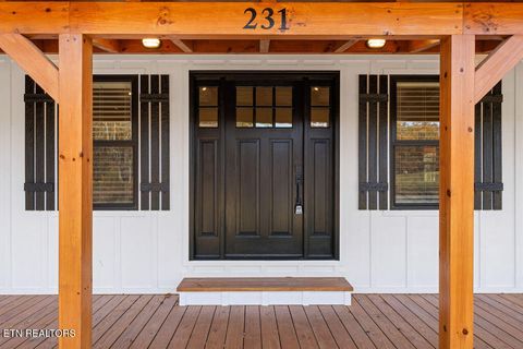 Tiny photo for 231 Sunset Boulevard Blvd, White Pine, TN 37890 (MLS # 1323322)