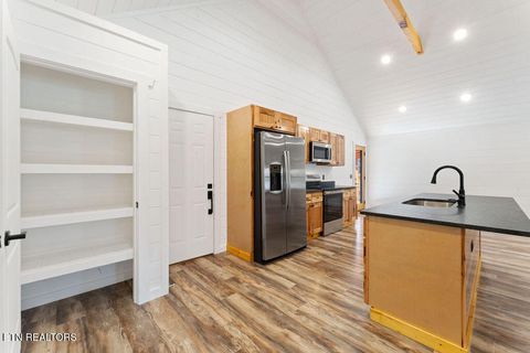 Tiny photo for 231 Sunset Boulevard Blvd, White Pine, TN 37890 (MLS # 1323322)