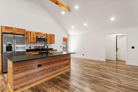 Tiny photo for 231 Sunset Boulevard Blvd, White Pine, TN 37890 (MLS # 1323322)