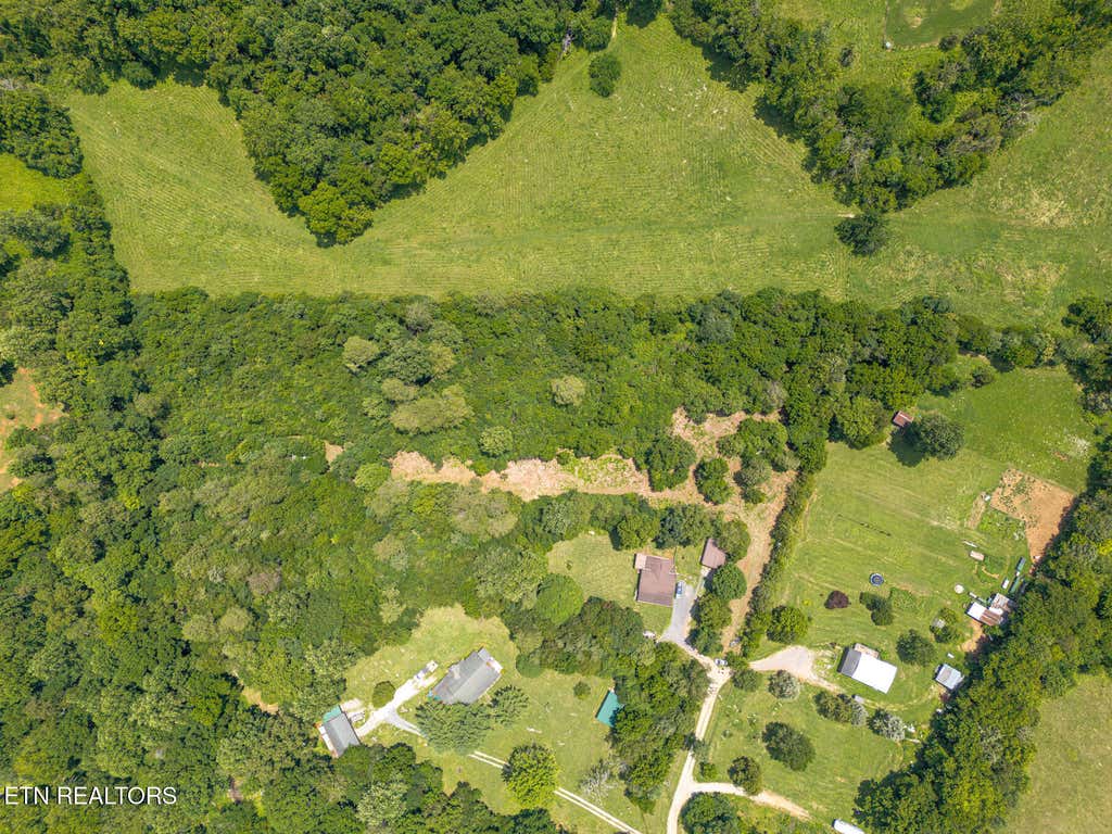 Photo of 2 Thomas Ed Roach Lane, Blaine, TN 37709 (MLS # 1350693)