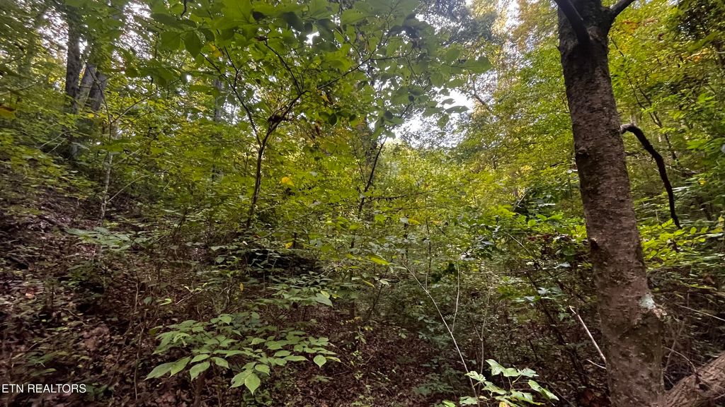 Photo of 3 Happy Hollow Lane, Sevierville, TN 37876 (MLS # 1315086)