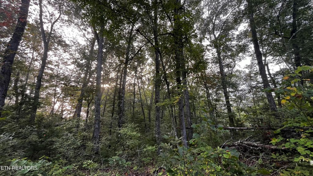 Photo of 3 Happy Hollow Lane, Sevierville, TN 37876 (MLS # 1315086)