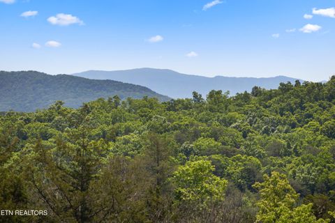 Tiny photo for Parrotts Chapel Rd #1210, Sevierville, TN 37876 (MLS # 1339962)