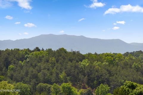 Tiny photo for Parrotts Chapel Rd #1210, Sevierville, TN 37876 (MLS # 1339962)