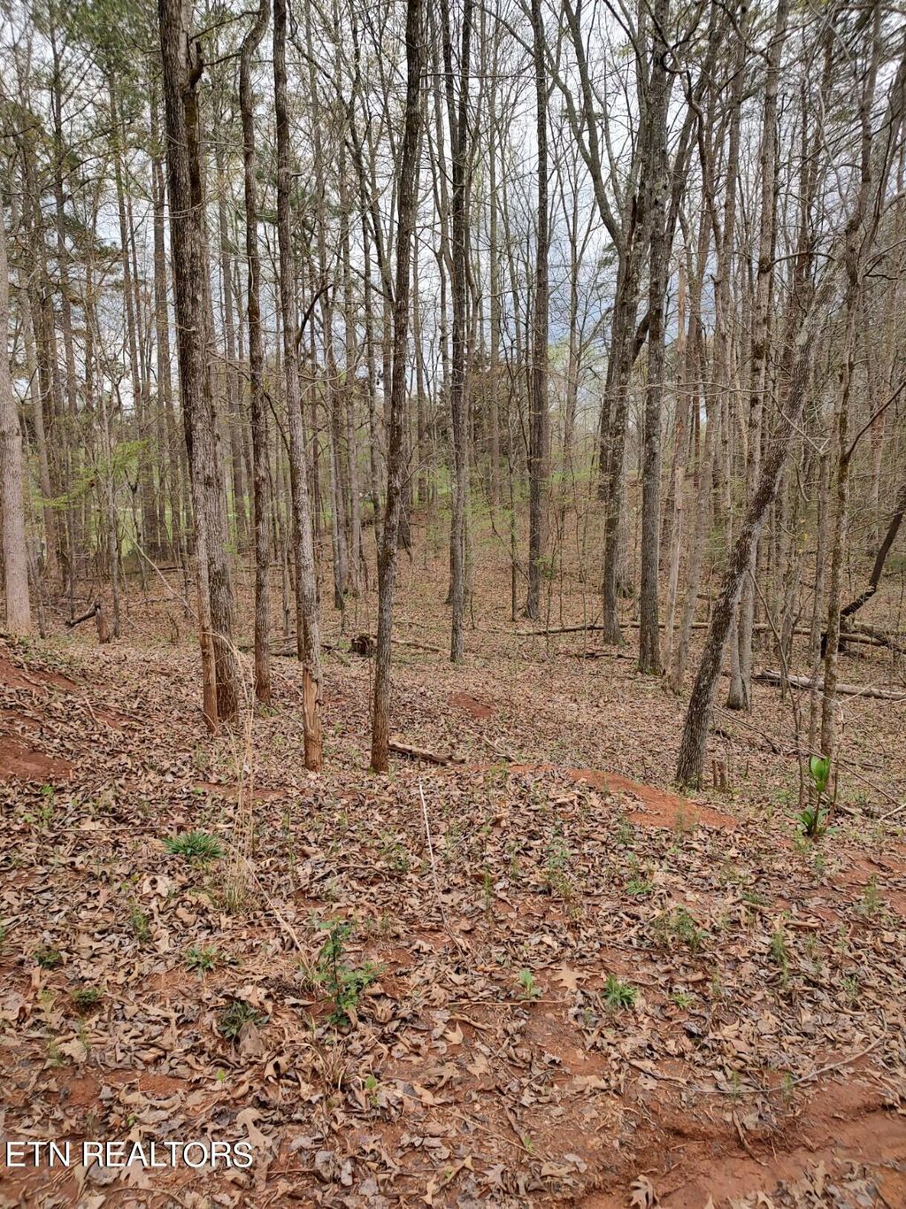 Photo of Mount Vista Drive, Vonore, TN 37885 (MLS # 1262527)