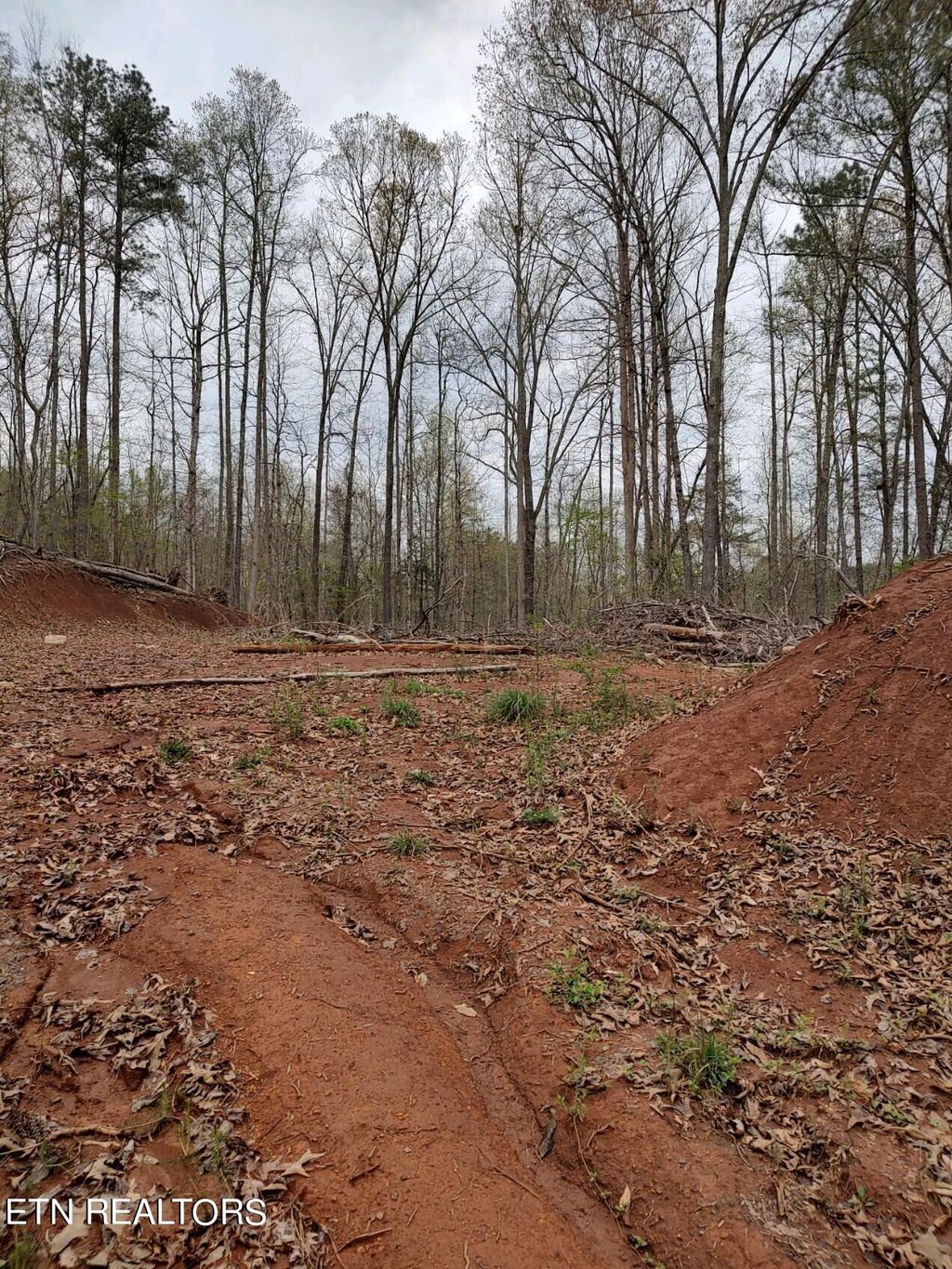 Photo of Mount Vista Drive, Vonore, TN 37885 (MLS # 1262527)