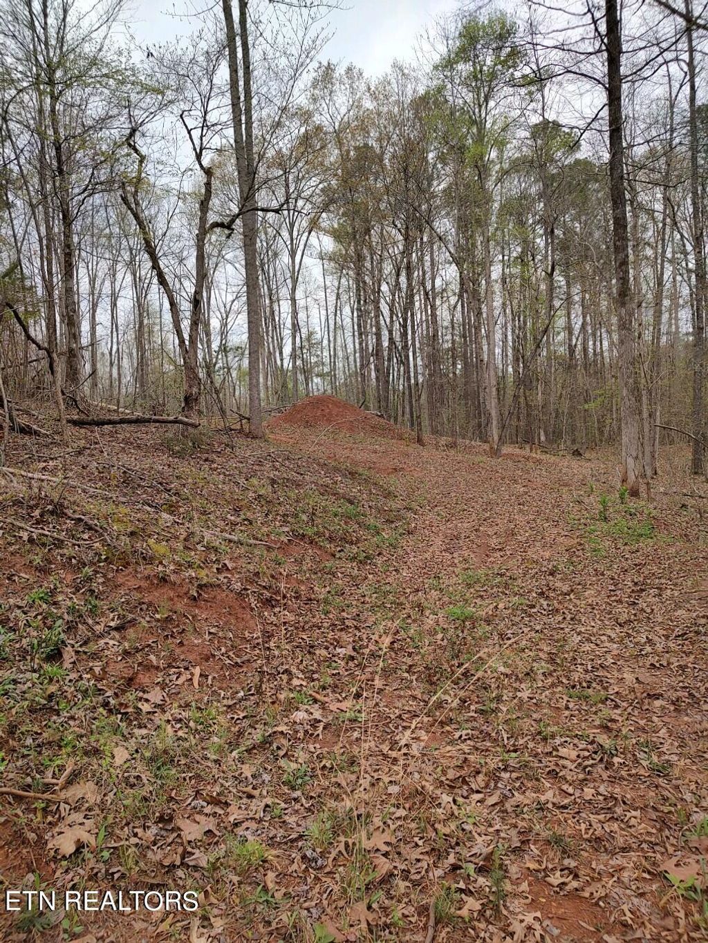 Photo of Mount Vista Drive, Vonore, TN 37885 (MLS # 1262527)