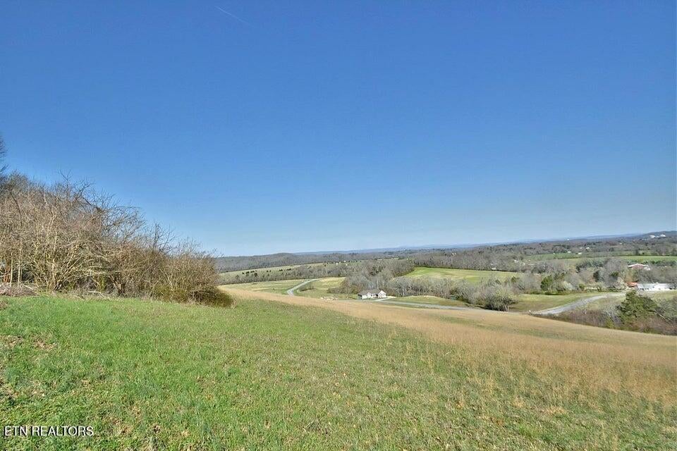 Photo of 16 Espalier Drive, Decatur, TN 37322 (MLS # 1357091)