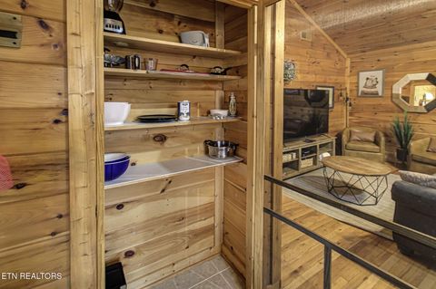 Tiny photo for 3049 Patty View Way, Sevierville, TN 37862 (MLS # 1324621)