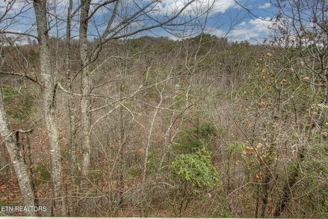 Tiny photo for 3049 Patty View Way, Sevierville, TN 37862 (MLS # 1324621)