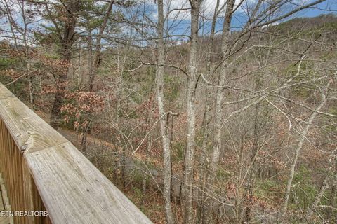 Tiny photo for 3049 Patty View Way, Sevierville, TN 37862 (MLS # 1324621)