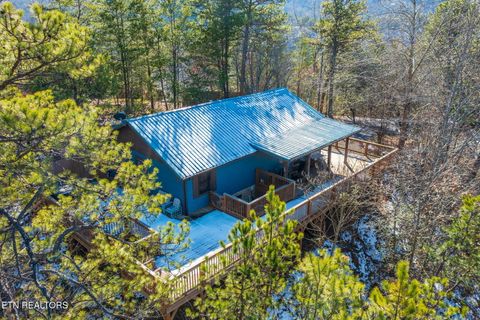 Tiny photo for 3049 Patty View Way, Sevierville, TN 37862 (MLS # 1324621)