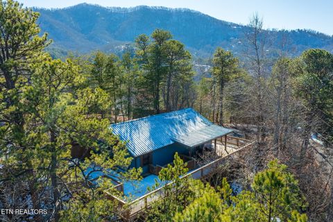 Tiny photo for 3049 Patty View Way, Sevierville, TN 37862 (MLS # 1324621)