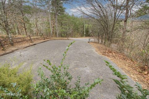 Tiny photo for 3049 Patty View Way, Sevierville, TN 37862 (MLS # 1324621)