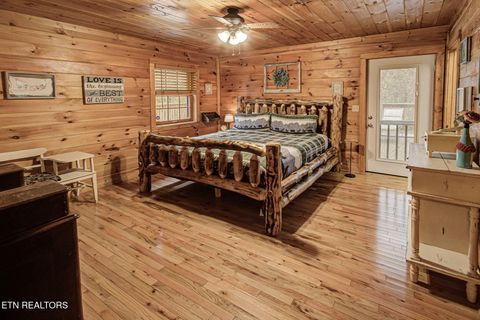 Tiny photo for 3049 Patty View Way, Sevierville, TN 37862 (MLS # 1324621)