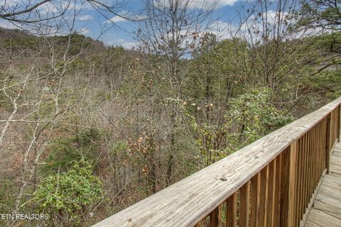 Tiny photo for 3049 Patty View Way, Sevierville, TN 37862 (MLS # 1324621)