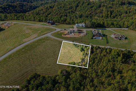 Tiny photo for 164 Feldspar Rd, New Tazewell, TN 37825 (MLS # 1318710)