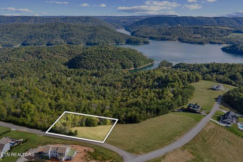 Tiny photo for 164 Feldspar Rd, New Tazewell, TN 37825 (MLS # 1318710)