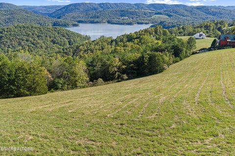 Photo of 164 Feldspar Rd, New Tazewell, TN 37825 (MLS # 1318710)