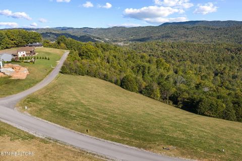 Tiny photo for 164 Feldspar Rd, New Tazewell, TN 37825 (MLS # 1318710)