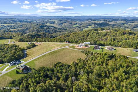 Tiny photo for 164 Feldspar Rd, New Tazewell, TN 37825 (MLS # 1318710)